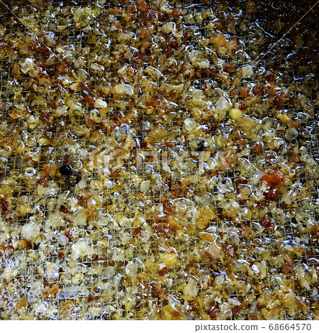 honeycomb from bee hive filled honeycomb from bee hive filled 68664570