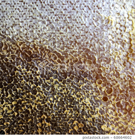 honeycomb from bee hive filled 68664602