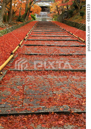 Bishamon-do Gate Ruins, Autumn Leaves 68665119