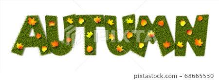 Autumn with grass texture 68665530