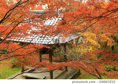 Autumn Shoji Temple autumn leaves and bell tower 68665858