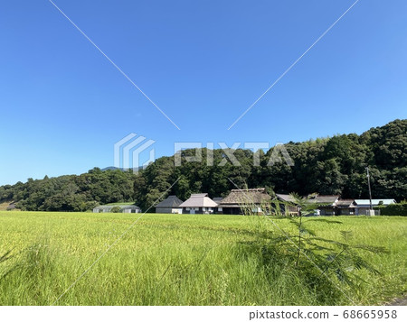 伊勢神宮飯神宮神田 伊勢神宮飯神宮神田 68665958