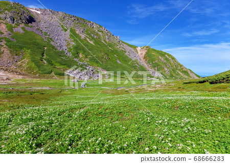 登浦山（7月夏天陽光明媚） 68666283