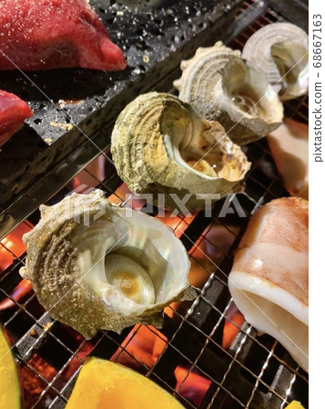 海鮮烤頭巾殼 68667163