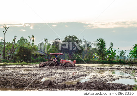 Rice plantation field prepare soil for Rice plantation field prepare soil for 68668330