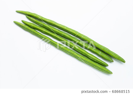 Moringa oleifera isolated on white background. Moringa oleifera isolated on white background. 68668515