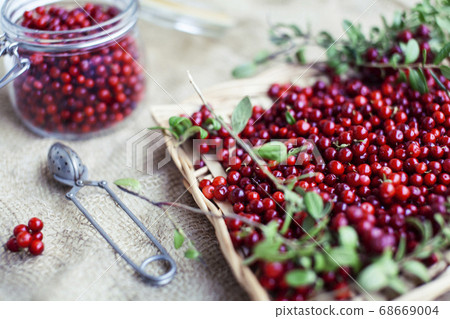 autumn berries on table, lingonberry raw closeup 68669004