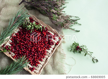 autumn berries on table, lingonberry raw closeup autumn berries on table, lingonberry raw closeup 68669005