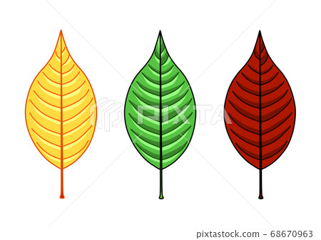 Orange leaves, green leaves, red brown leaves 68670963