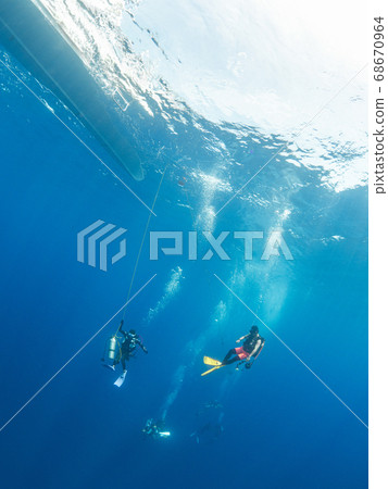 scuba diving 68670964