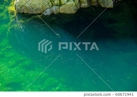 Clear river and fish in Tenkawa Village (Tenkawa Village, Yoshino District, Nara Prefecture) 68672941