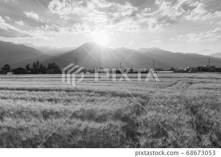 有明山和麥田[安zu野的單色夜景] 68673053