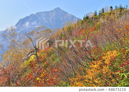 高句山山步道：富美嶺和高句山的秋葉（黃葉） 68673210