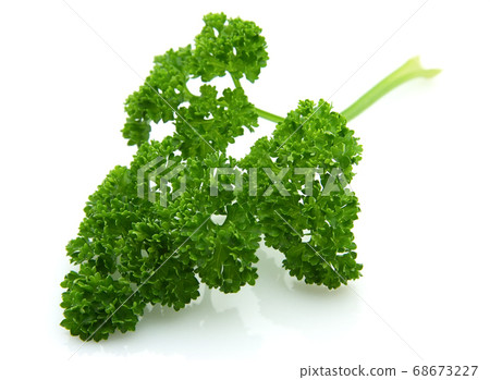 Parsley Parsley 68673227