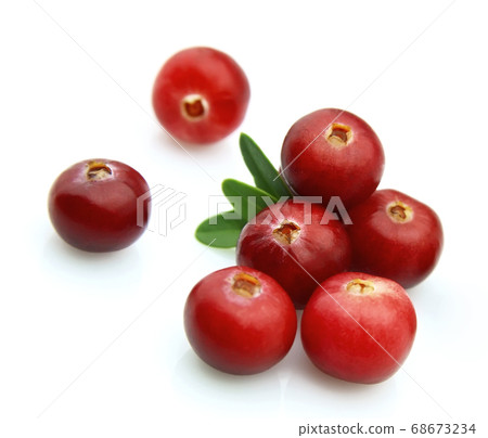 Cranberries Cranberries 68673234
