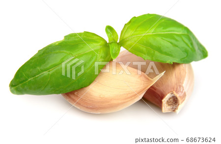 Garlic 68673624