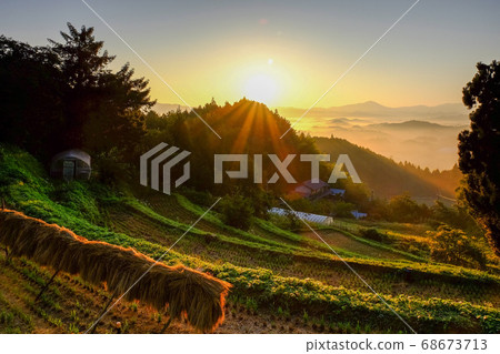 高見山和梯田的黎明（奈良縣宇田市） 68673713