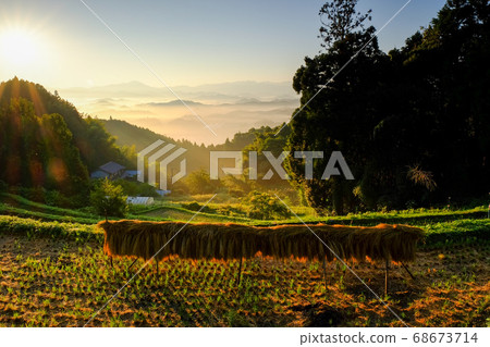 高見山和梯田的黎明（奈良縣宇田市） 68673714