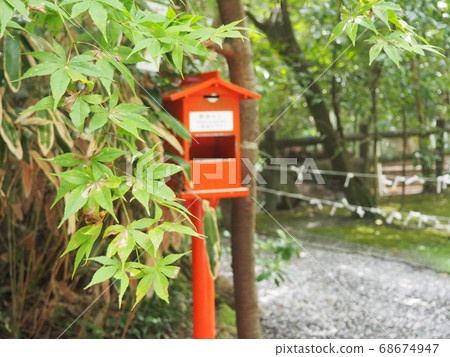 Nomiya shrine's fortune and blue autumn leaves 68674947