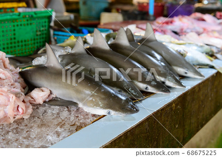 Group of baby shark fish for sale in fresh market at Hat Yai 68675225