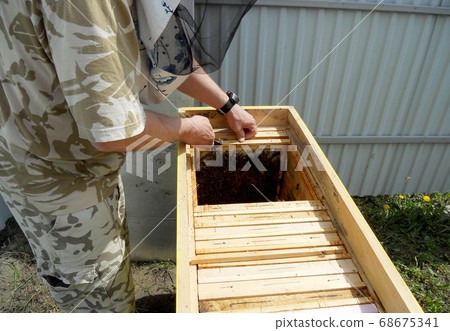 Background hexagon texture, wax honeycomb from a Background hexagon texture, wax honeycomb from a 68675341