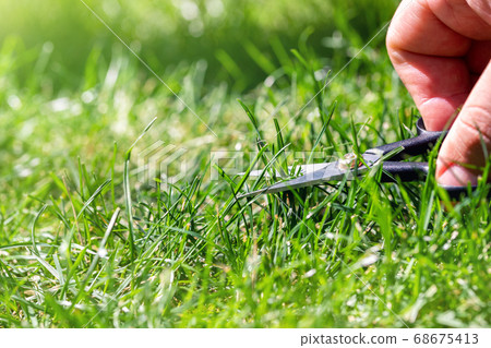 Close-up detail view of man hand cutting green grass on backyard garden with small nail scissors on bright summer sunny day. Accurate perfect lawn mowing care maintenance and service concept 68675413