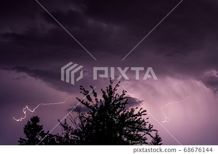 Silhouette of a tree top on a thunderstorm 68676144