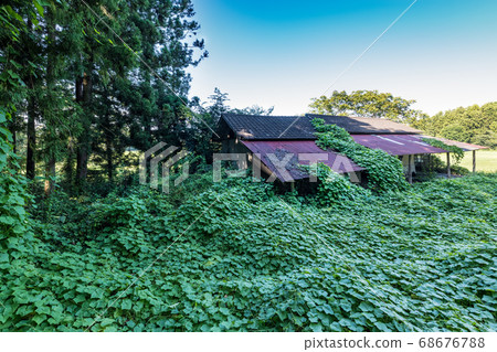 Abandoned abandoned wooden building 68676788