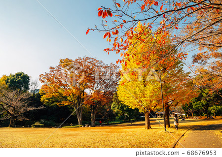 Autumn scenery of Kitanomaru Garden Park in Tokyo, Japan 68676953
