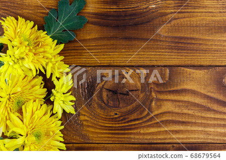 Yellow chrysanthemums on wooden background 68679564