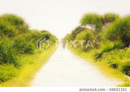 Island bicycle 68681381