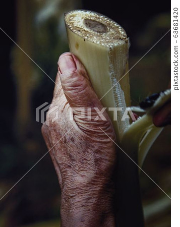 Mr. Taira making Bashofu Mr. Taira making Bashofu 68681420