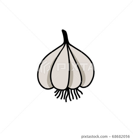 garlic doodle icon, vector color line illustration garlic doodle icon, vector color line illustration 68682056