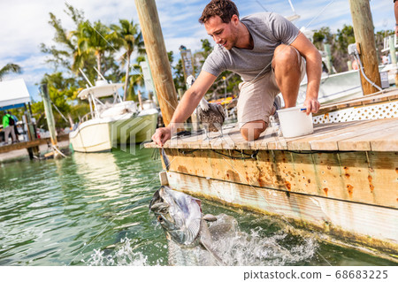 Tarpon fish feeding in the keys, Florida, Summer travel lifestyle tourism. American man having fun at leisure activity in Islamorada, USA 68683225