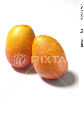 Two cuddly ripe mangoes snuggled up against a white background 68683701