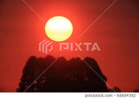 日出 68684392