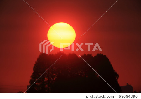 日出 68684396