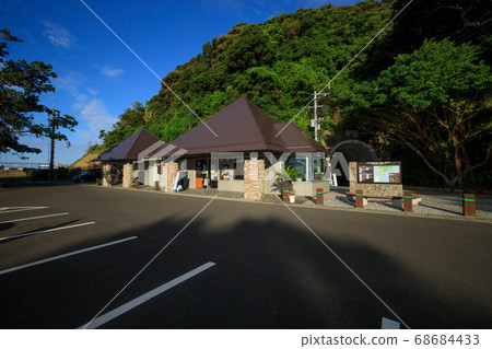 [鹿兒島縣佐田岬]佐田岬停車場的榕樹 68684433