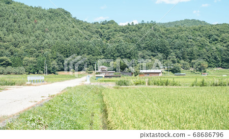 Rural landscape in summer 68686796