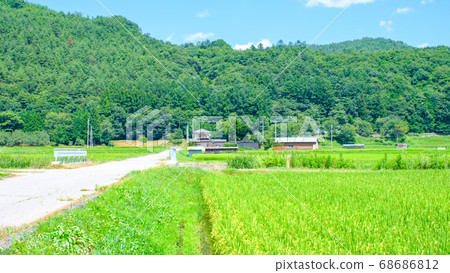 Rural landscape in summer Rural landscape in summer 68686812