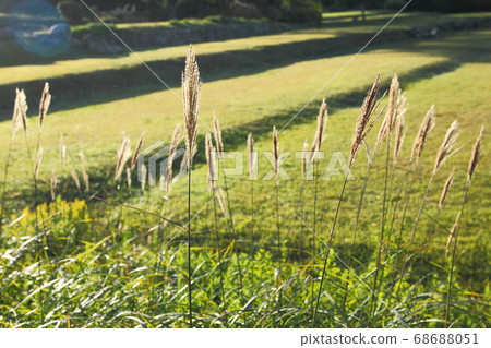 明日香歷史公園鈴木 明日香歷史公園鈴木 68688051