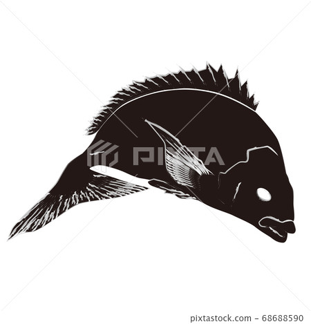 鯛魚水墨風格插畫 鯛魚水墨風格插畫 68688590