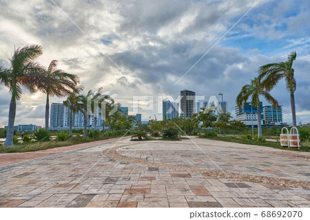Cancun city landscape with palm trees in windy 68692070