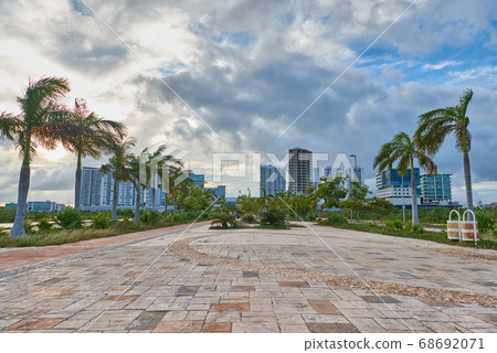 Cancun city landscape with palm trees in windy 68692071