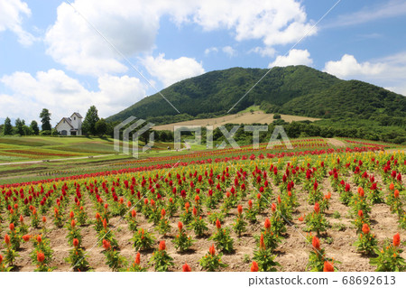 Summer garden garden hill Summer garden garden hill 68692613