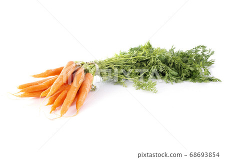 carrots in studio 68693854