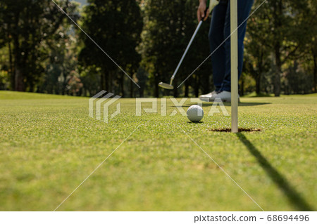 Close-up of a golf hole 68694496
