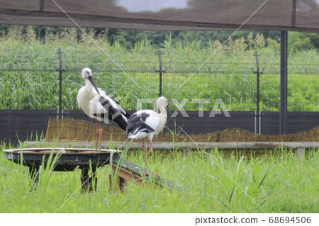 Stork Stork no Sato Stork Stork no Sato 68694506