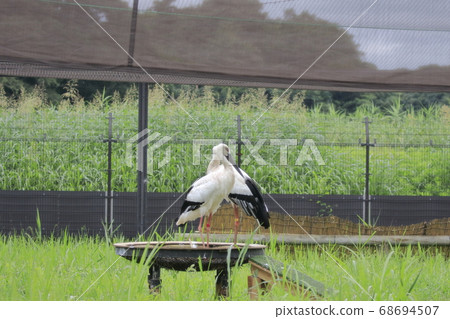 Stork Stork no Sato Stork Stork no Sato 68694507