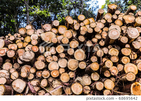 變薄的木材堆積 68695642